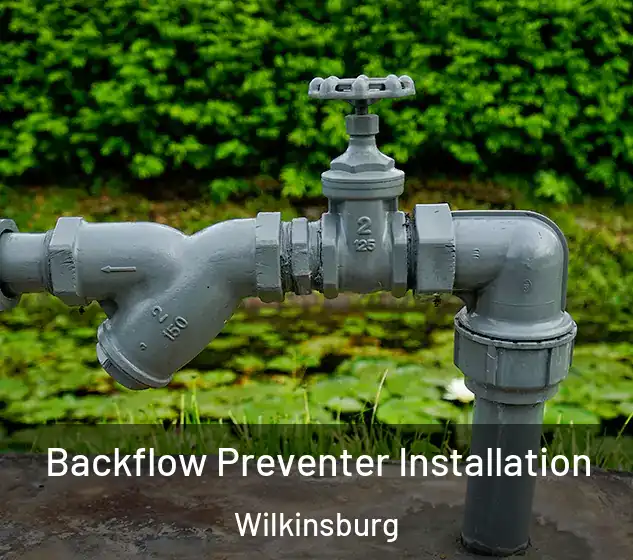  Backflow Preventer Installation Wilkinsburg