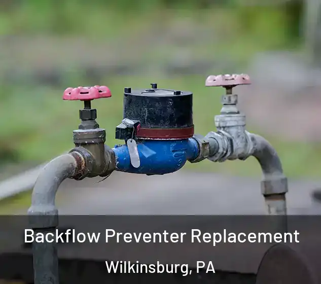  Backflow Preventer Replacement Wilkinsburg, PA