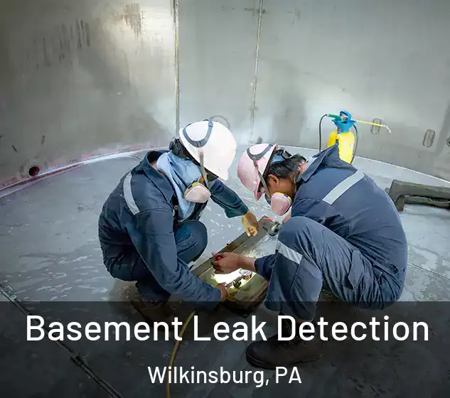  Basement Leak Detection Wilkinsburg, PA