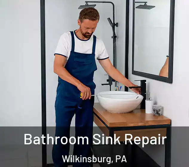  Bathroom Sink Repair Wilkinsburg, PA