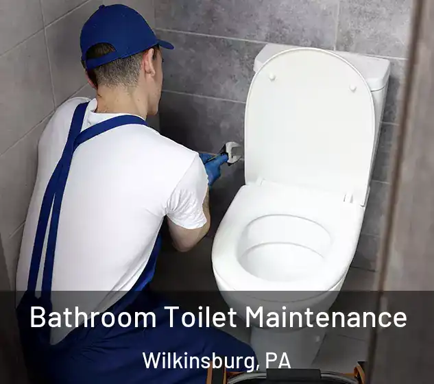  Bathroom Toilet Maintenance Wilkinsburg, PA
