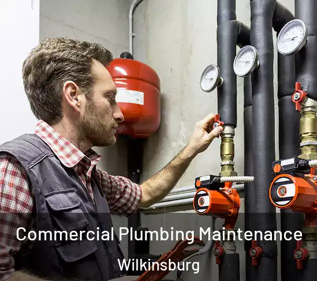  Commercial Plumbing Maintenance Wilkinsburg