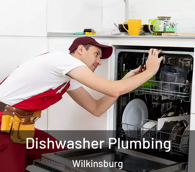  Dishwasher Plumbing Wilkinsburg