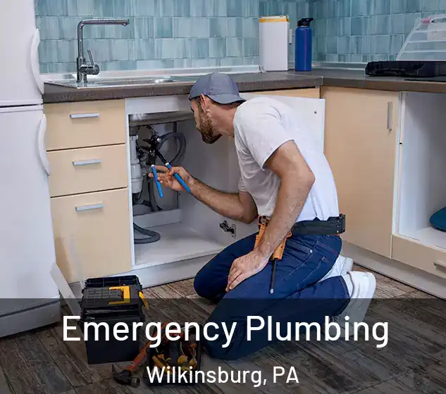  Emergency Plumbing Wilkinsburg, PA