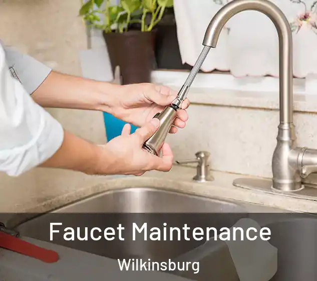  Faucet Maintenance Wilkinsburg