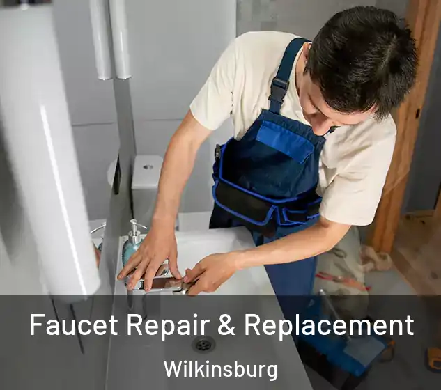  Faucet Repair & Replacement Wilkinsburg