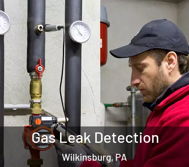  Gas Leak Detection Wilkinsburg, PA