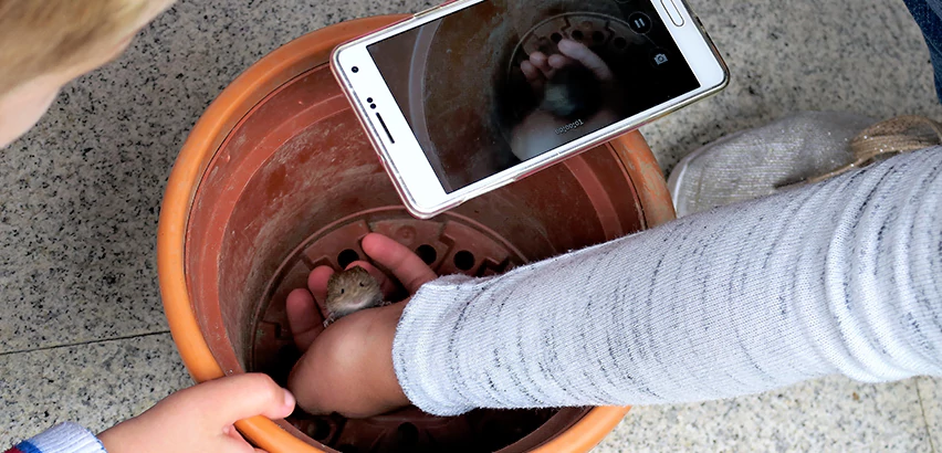 Scope of Drain Camera Inspection Services in Wilkinsburg, PA