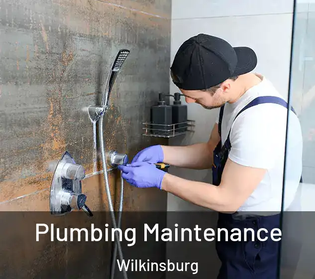  Plumbing Maintenance Wilkinsburg