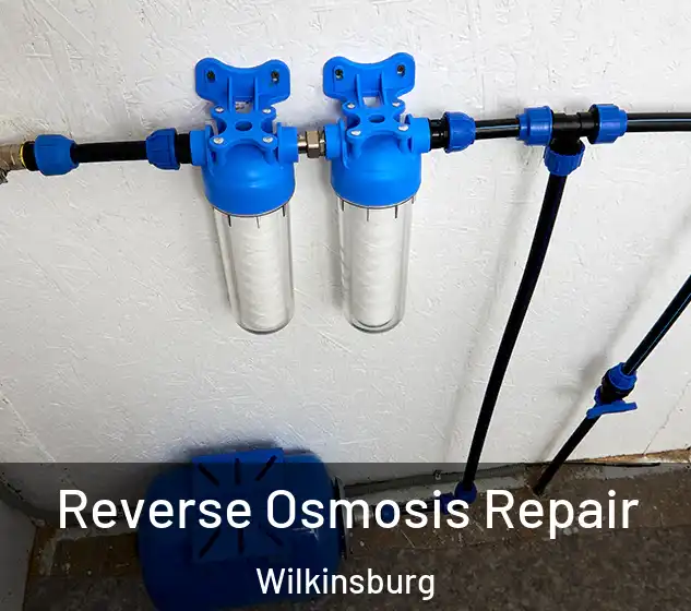 Reverse Osmosis Repair Wilkinsburg