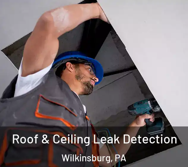  Roof & Ceiling Leak Detection Wilkinsburg, PA