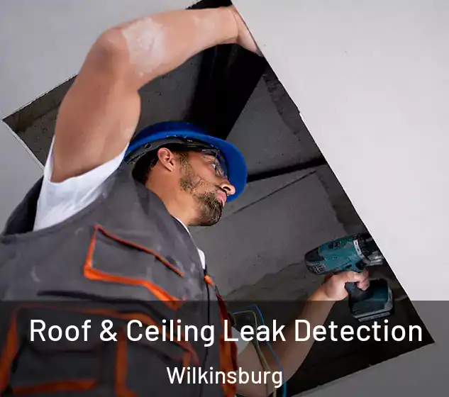  Roof & Ceiling Leak Detection Wilkinsburg