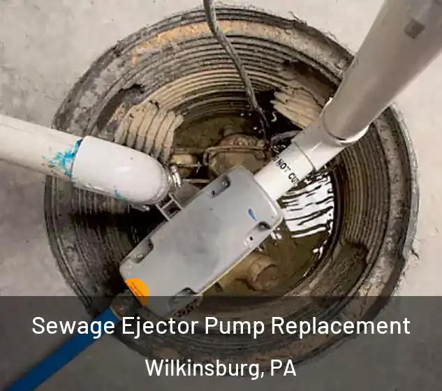  Sewage Ejector Pump Replacement Wilkinsburg, PA