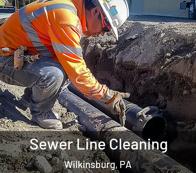  Sewer Line Cleaning Wilkinsburg, PA