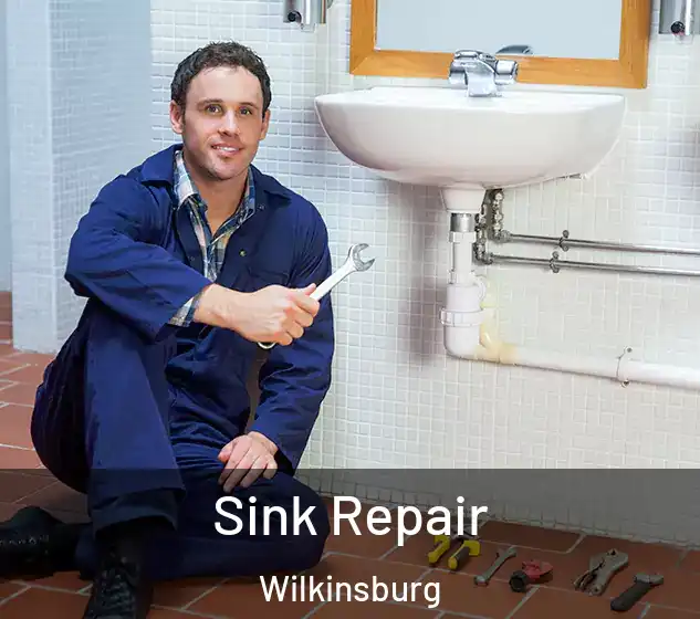  Sink Repair Wilkinsburg