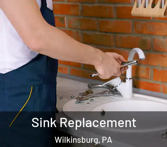  Sink Replacement Wilkinsburg, PA