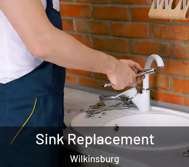  Sink Replacement Wilkinsburg