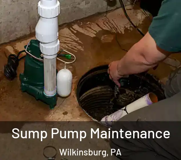  Sump Pump Maintenance Wilkinsburg, PA