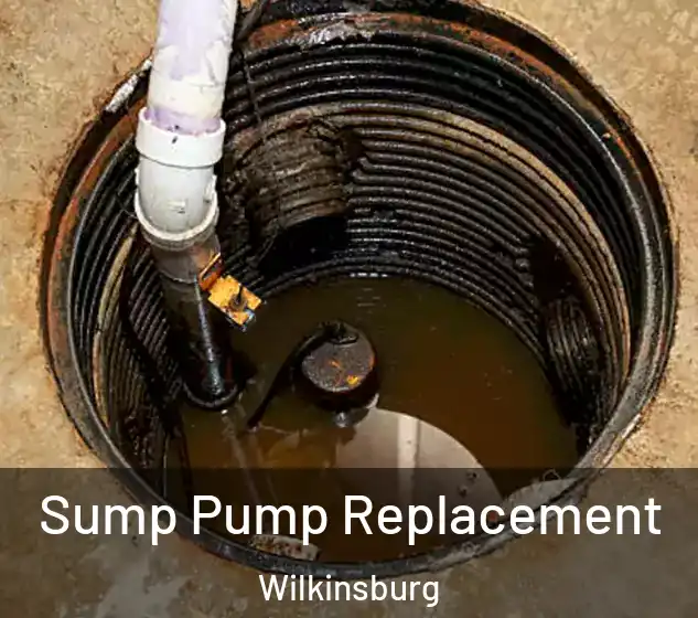  Sump Pump Replacement Wilkinsburg