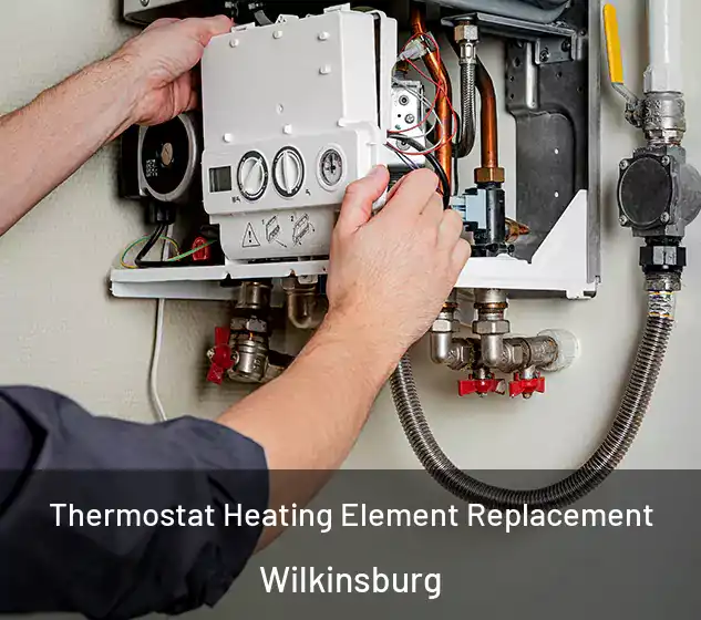  Thermostat Heating Element Replacement Wilkinsburg