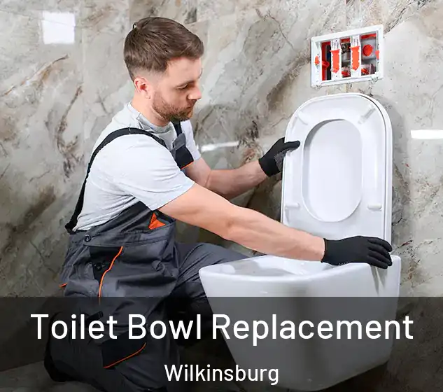  Toilet Bowl Replacement Wilkinsburg