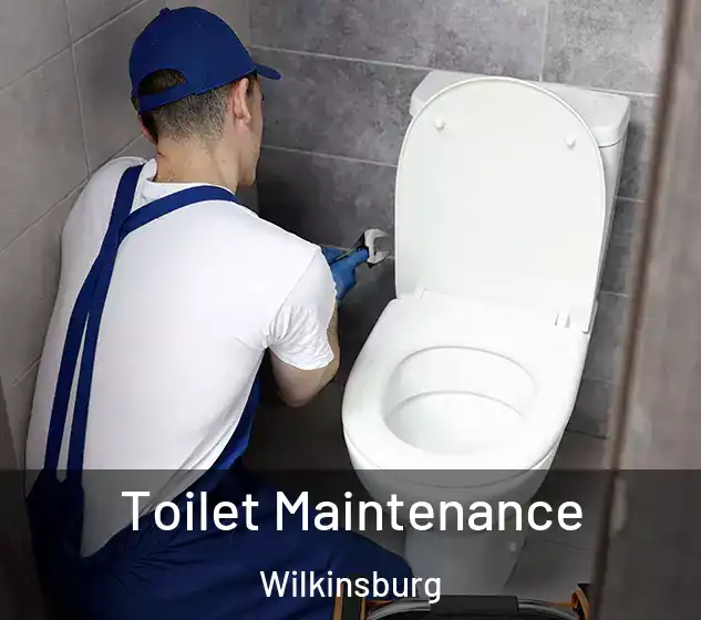  Toilet Maintenance Wilkinsburg