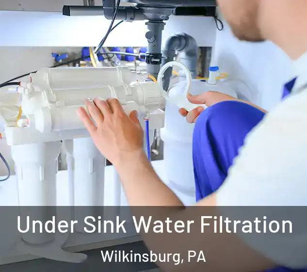  Under Sink Water Filtration Wilkinsburg, PA