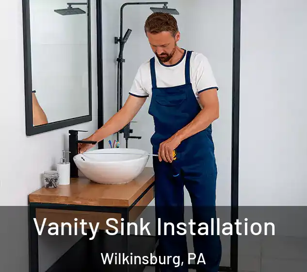  Vanity Sink Installation Wilkinsburg, PA