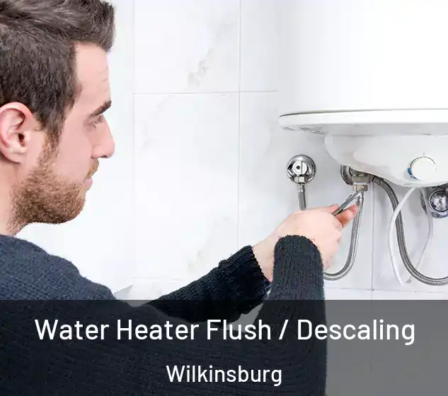  Water Heater Flush / Descaling Wilkinsburg