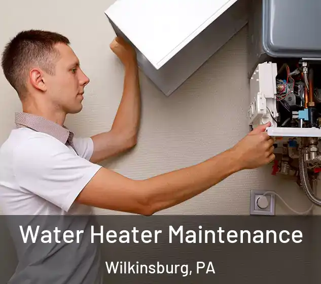  Water Heater Maintenance Wilkinsburg, PA