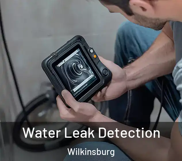  Water Leak Detection Wilkinsburg