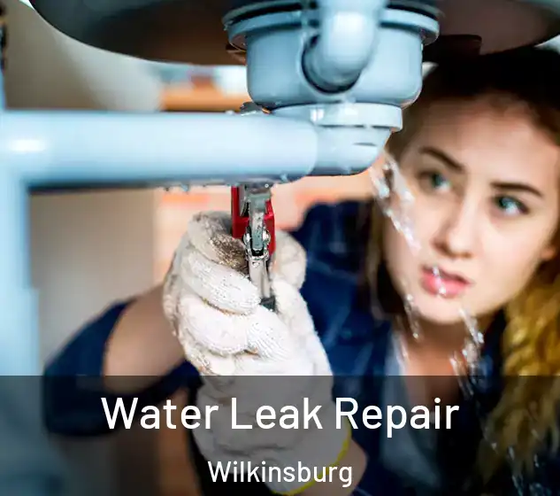  Water Leak Repair Wilkinsburg