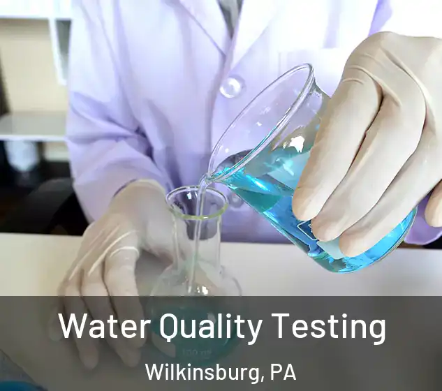 Water Quality Testing Wilkinsburg, PA