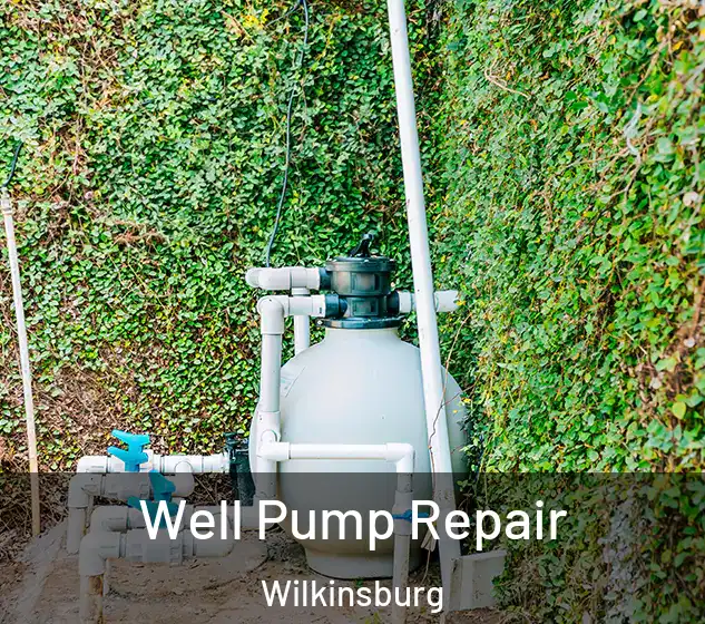  Well Pump Repair Wilkinsburg