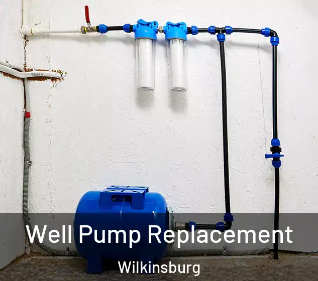  Well Pump Replacement Wilkinsburg
